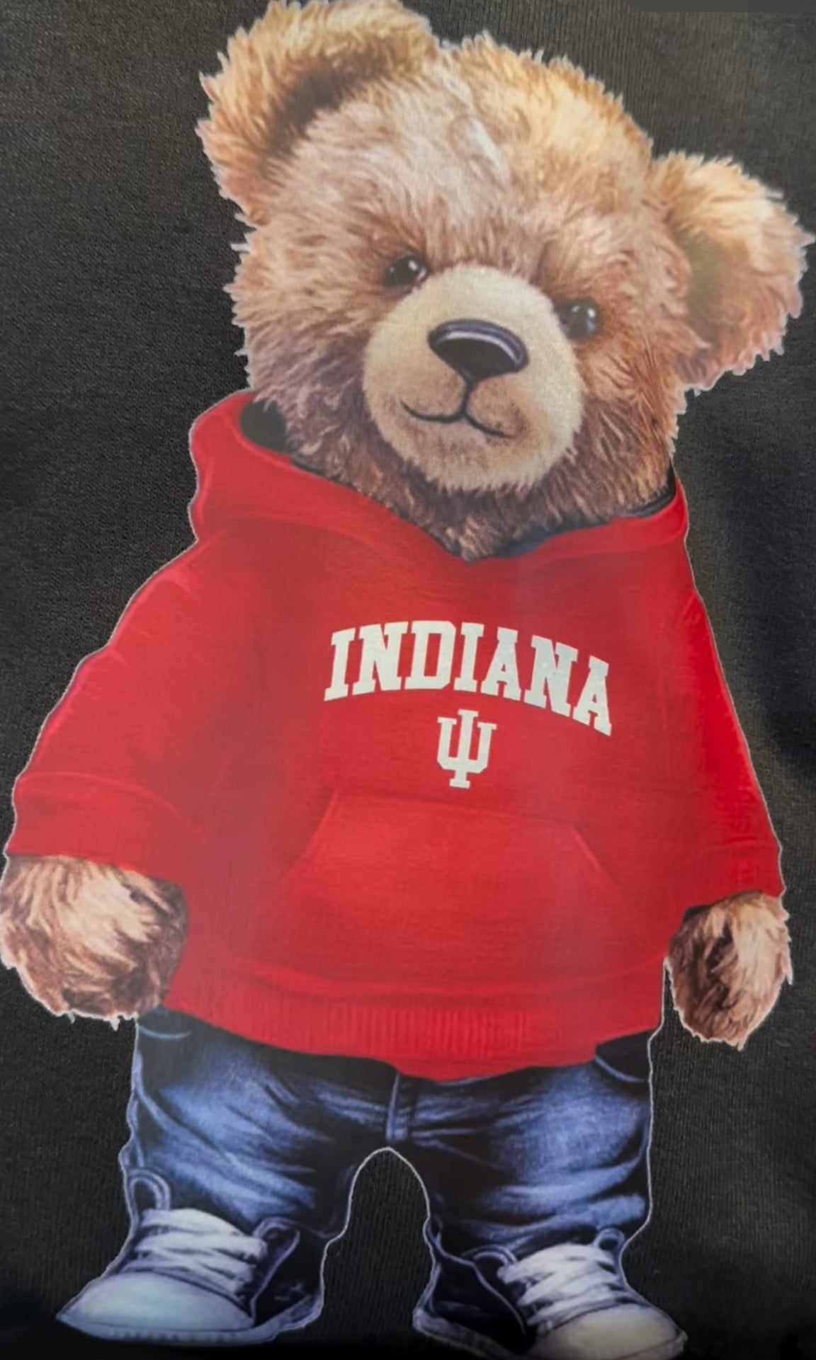 Custom teddy bear hoodies (available to order for ALL schools and camps)