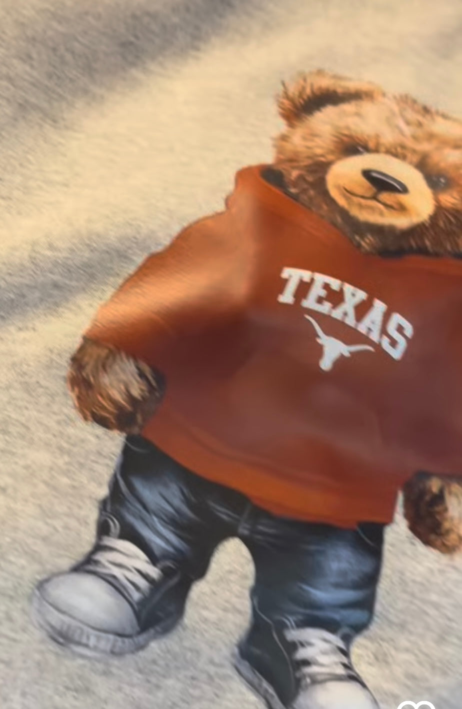 Custom teddy bear hoodies (available to order for ALL schools and camps)