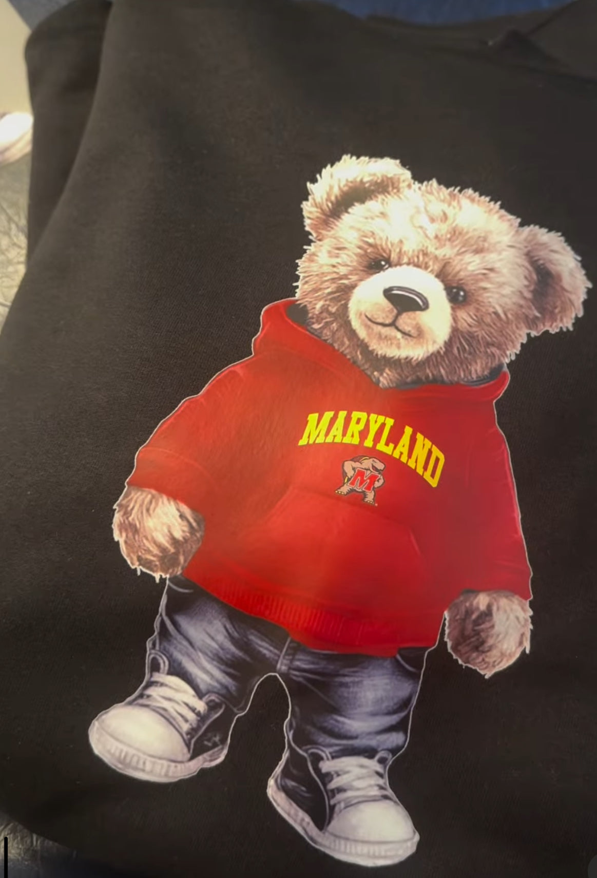 Custom teddy bear hoodies (available to order for ALL schools and camps)