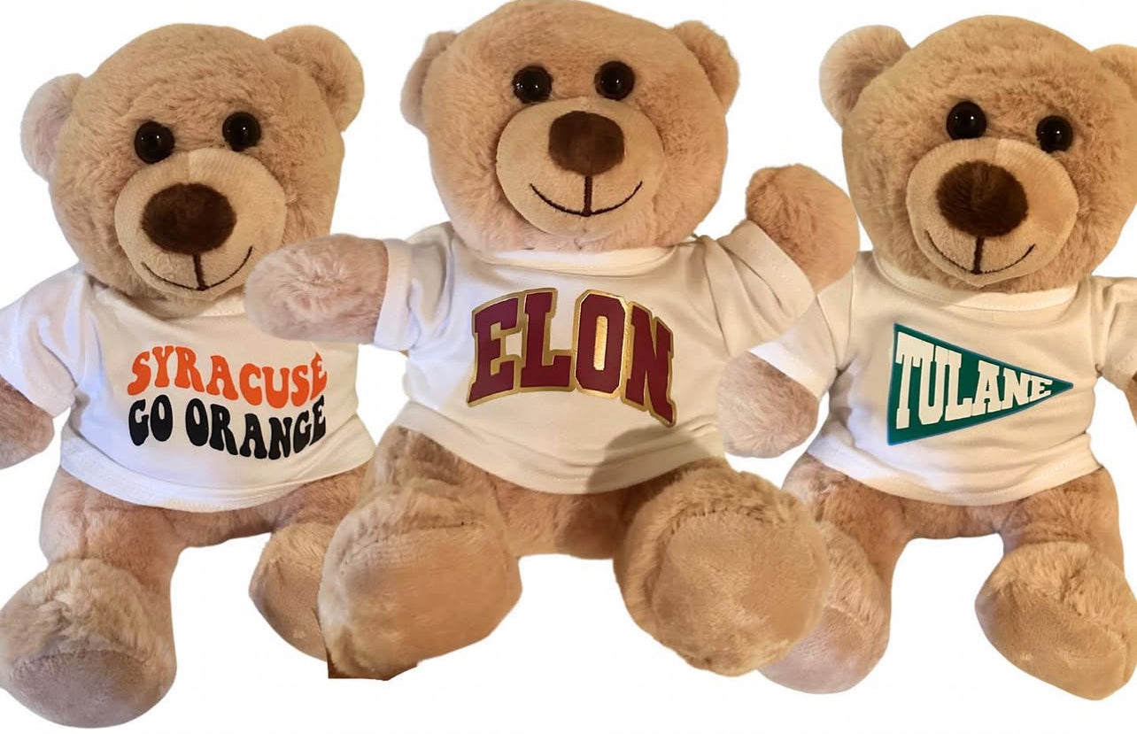 Custom small teddy bears with tee shirt (available to order for ANY school or camp)