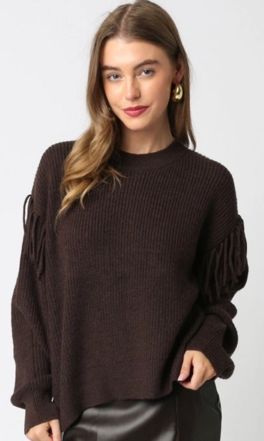 PREORDER NOW, Arriving Wednesday…Brown fringe arms sweater