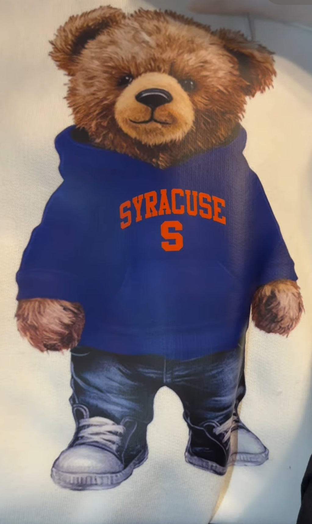 Custom teddy bear hoodies (available to order for ALL schools and camps)