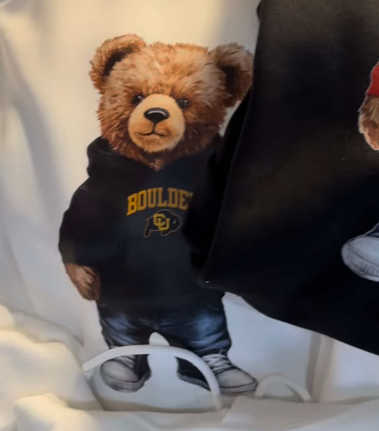 Custom teddy bear hoodies (available to order for ALL schools and camps)