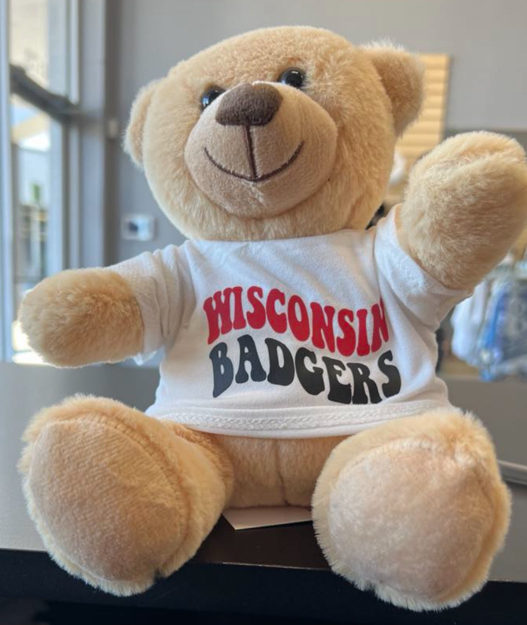 Custom teddy bears with tee shirt (available to order for ANY school or camp)