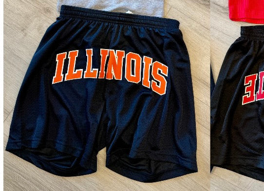 Custom & in stock mesh arch shorts (order for ANY school)see pic 2 for model pics