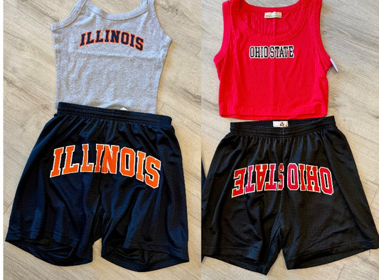 Custom & in stock mesh arch shorts (order for ANY school)see pic 2 for model pics