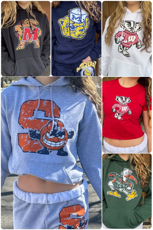 Custom burnout mascot tee, sweatpants and sweatshirts (limited schools available, see item description for list & see pics for more options)