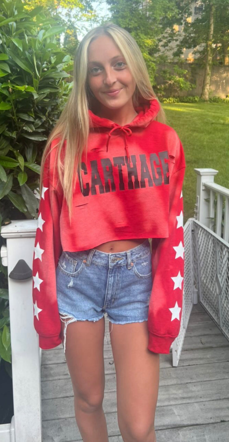 Custom college cropped star sleeve hoody (can be made for ANY school or camp)